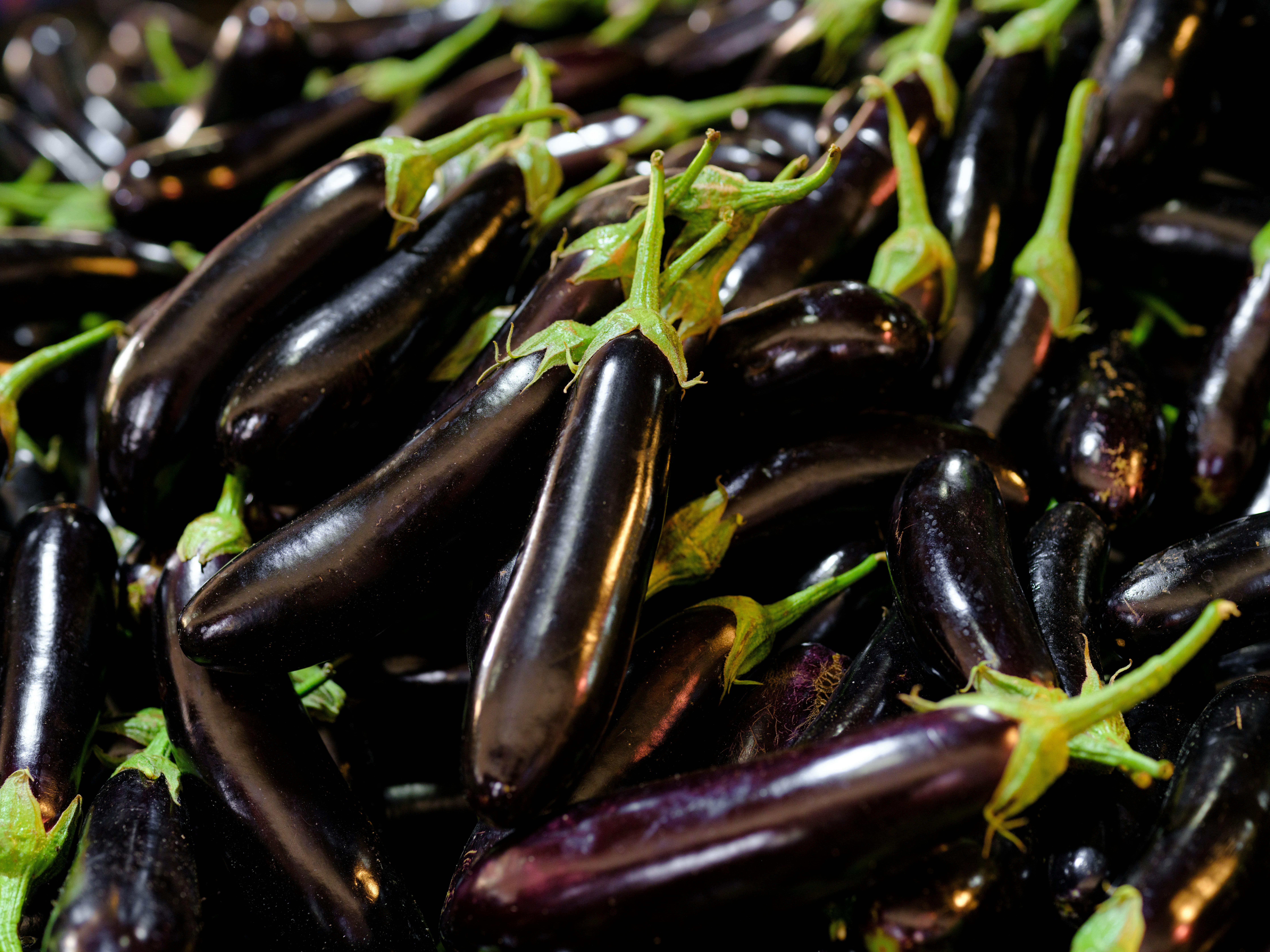 aubergine