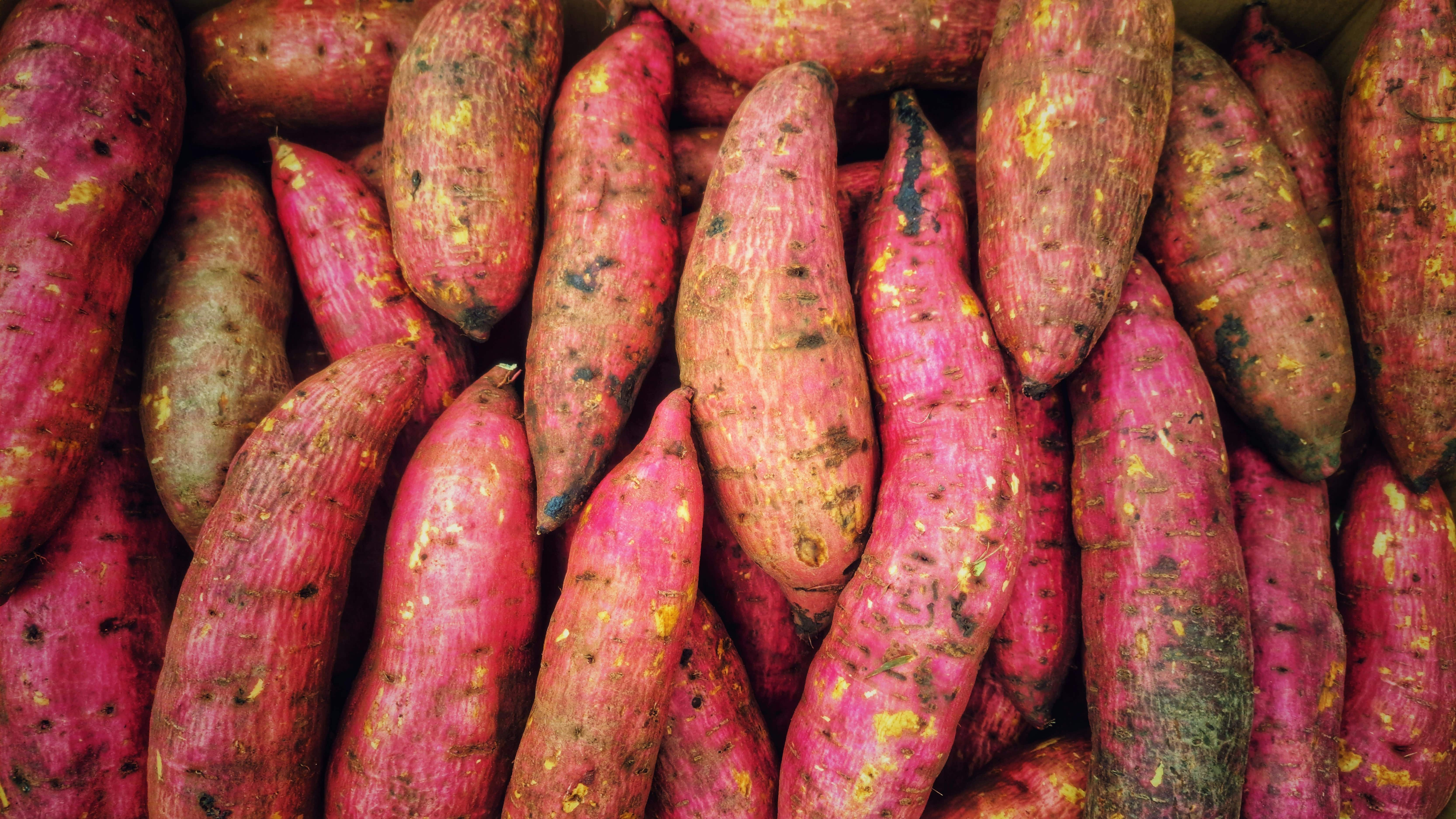 patate douce