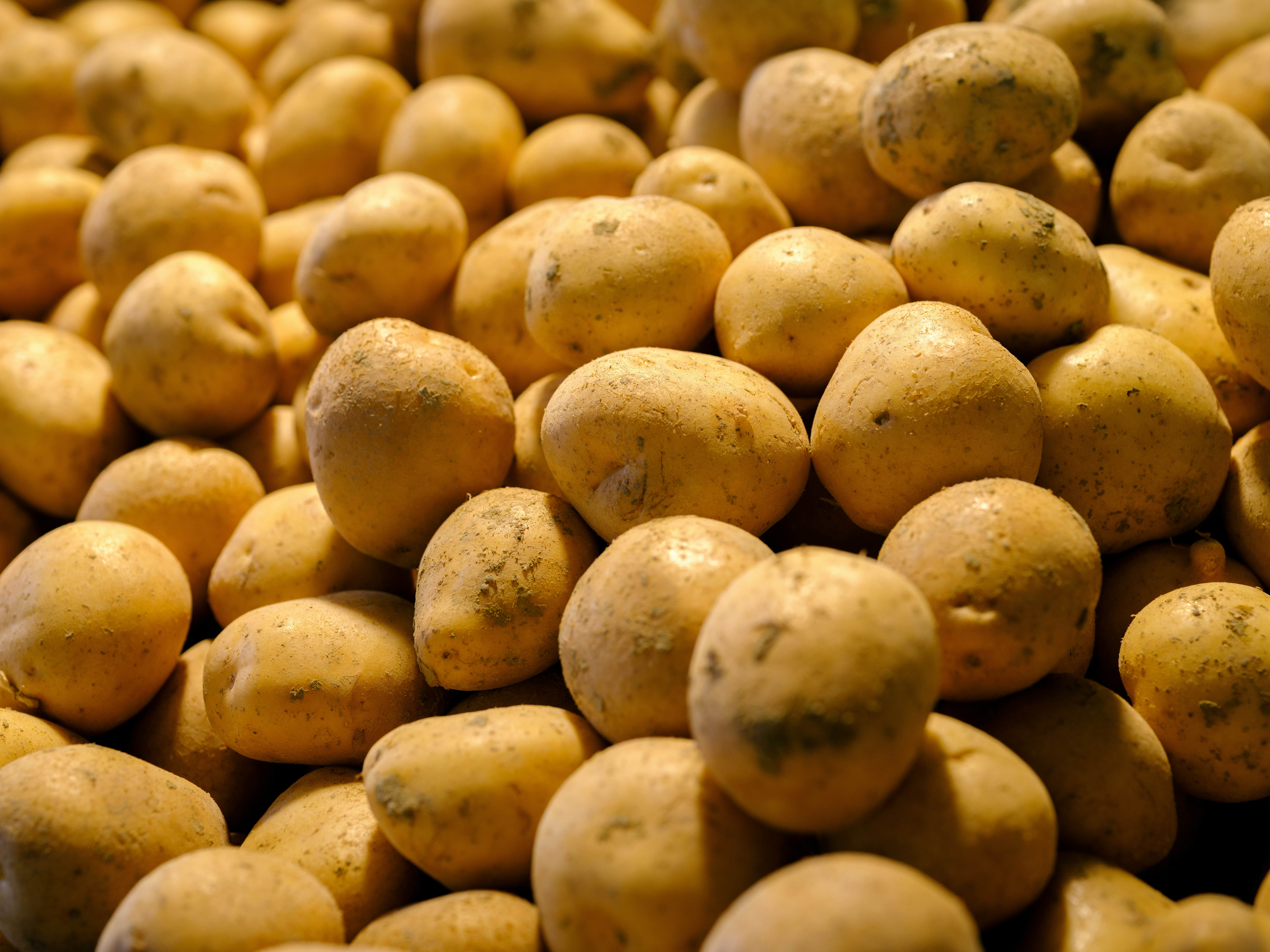 pomme de terre